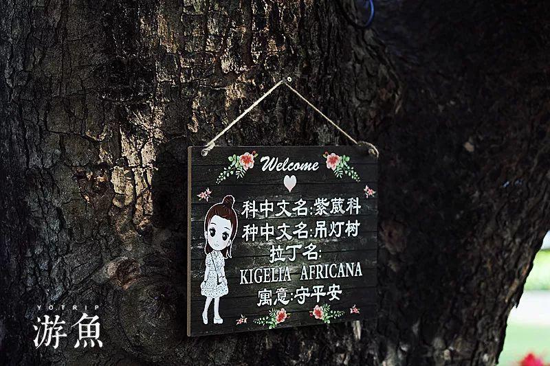 天堂契约