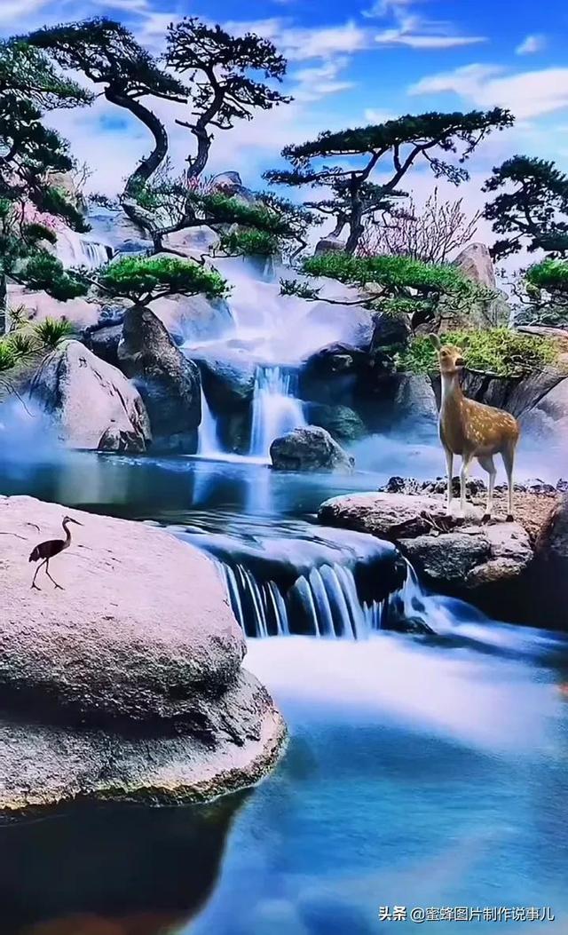 河南:买花迎春,鲜花市场供销两旺